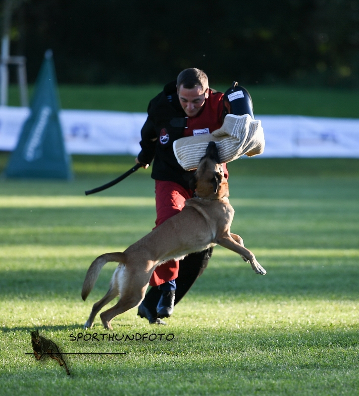 Impressionen 287.jpg